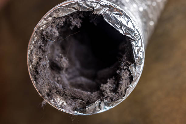 Best Dryer Vent Cleaning Services  in Goodlettsville, TN
